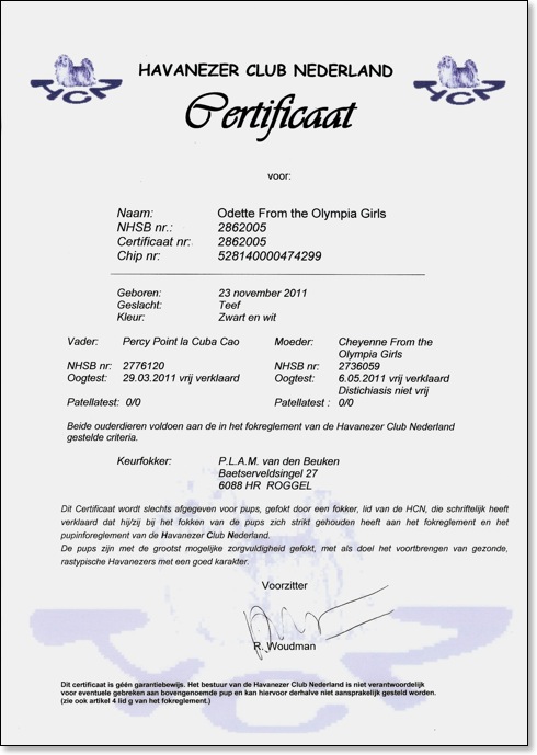 certificaat-odette-from-the-olympia-girls